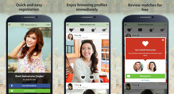 VietnameseCupid.com Site